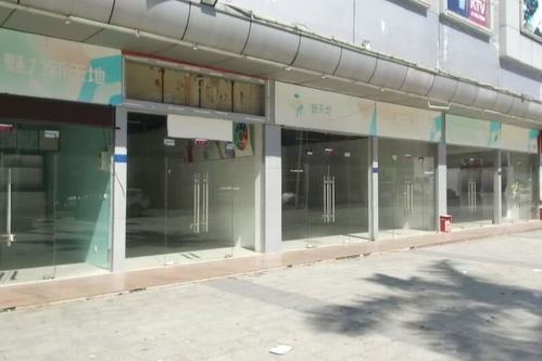 繁華落盡 東莞工業園商場的凋零與反思